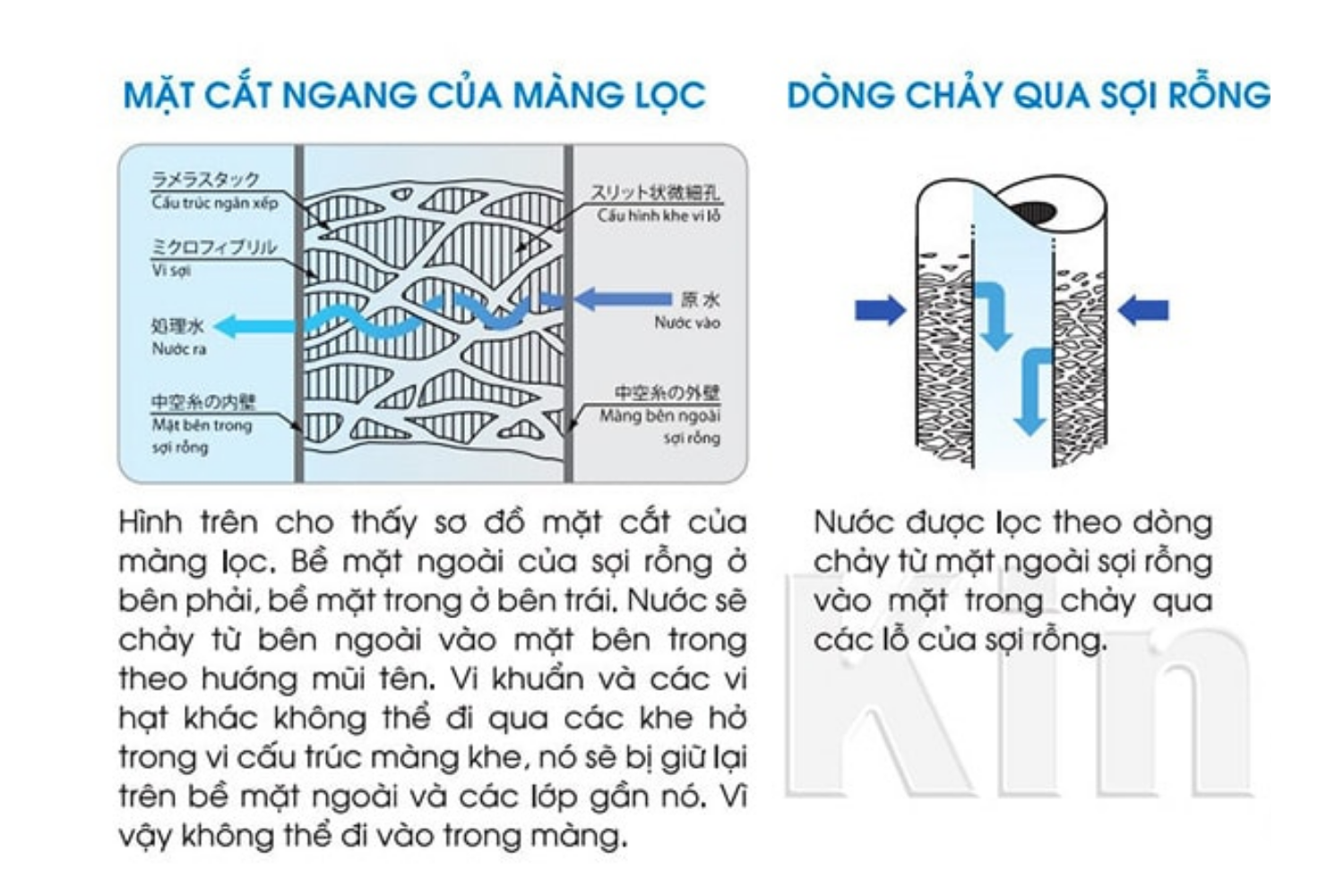 Bộ lọc của máy Cleansui ET101 có khả năng loại bỏ các chất độc hại trong nước