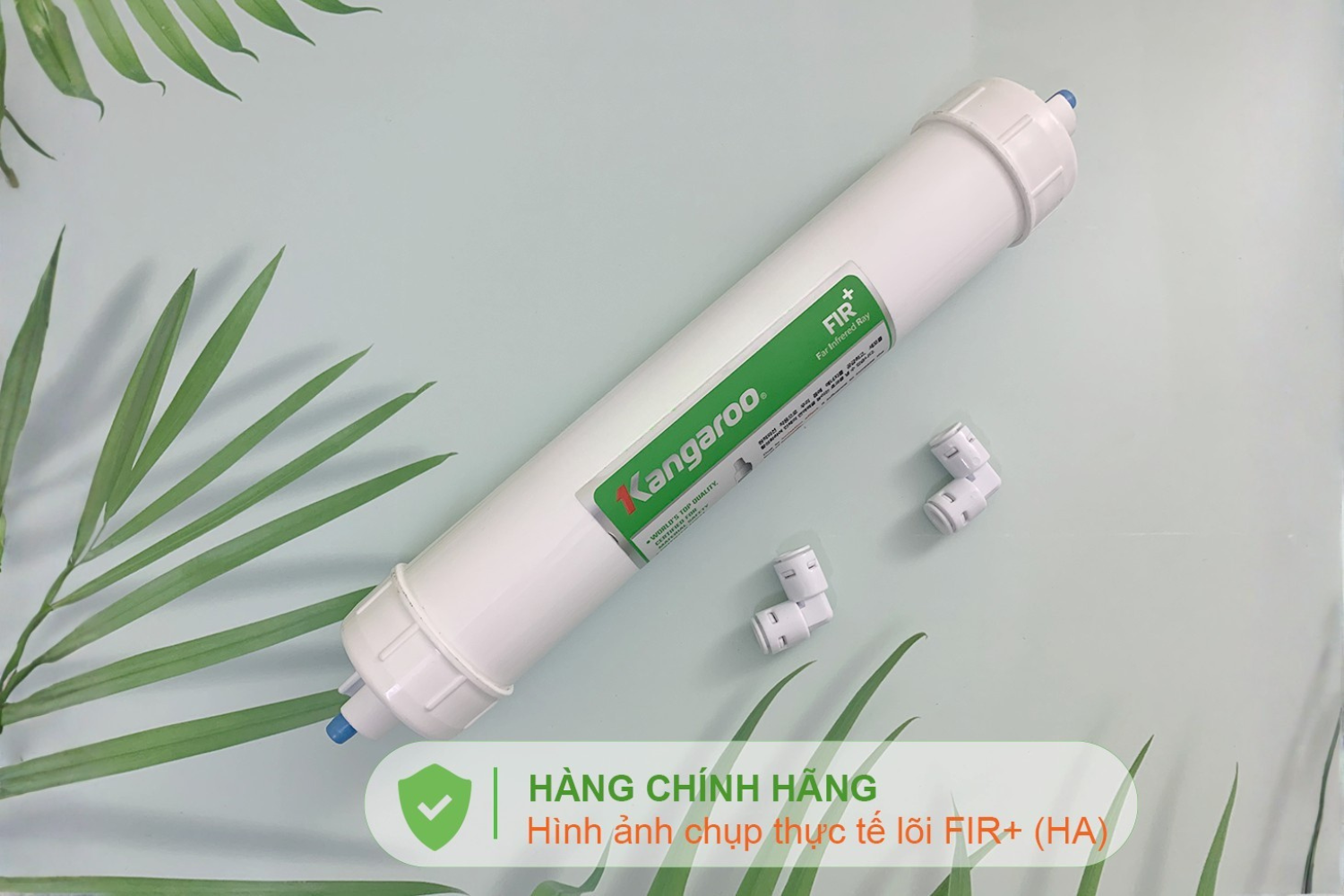Nước sau khi đi qua lõi FIR dễ hấp thụ và mang lại giá trị sinh học cao hơn cho cơ thể