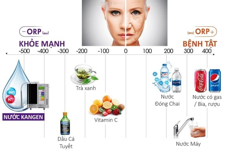 Nước từ máy lọc Kangen là giải pháp hỗ trợ điều trị nhiều bệnh