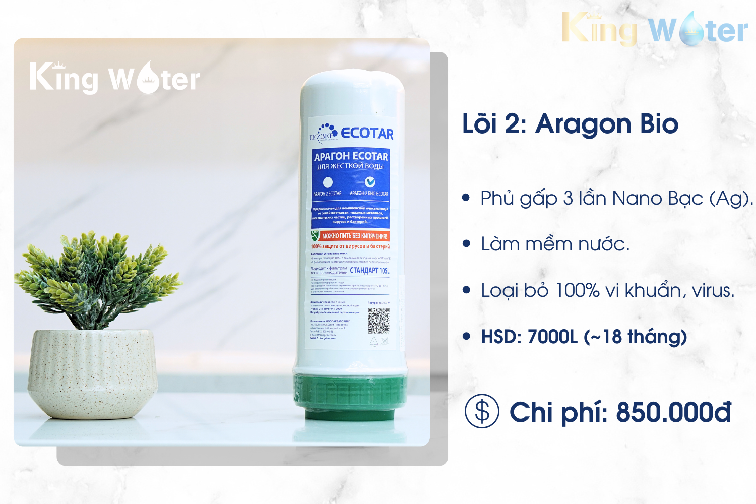 Lõi lọc Aragon Bio hấp thụ và biến đổi cấu trúc tinh thể khoáng