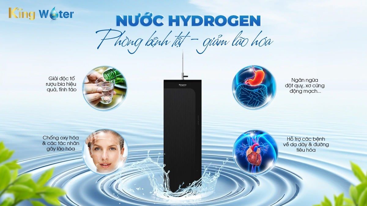Lợi ích nước Hydrogen từ Máy lọc nước Kangaroo Hydrogen KG100HC2