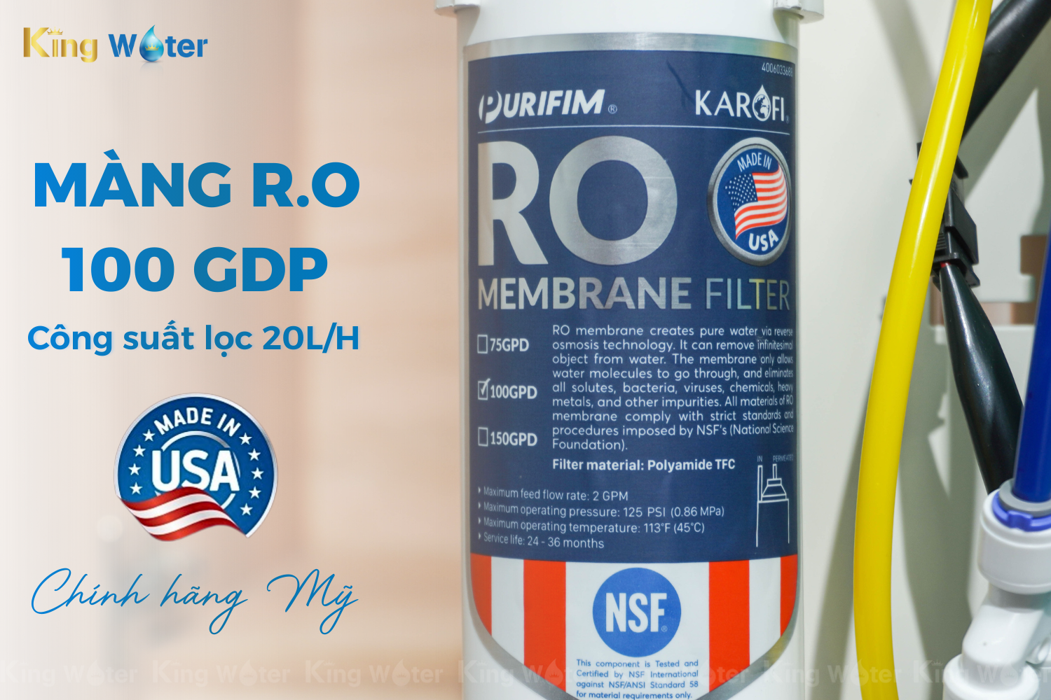 Màng lọc RO 100 GPD thay nhanh theo tiêu chuẩn Mỹ