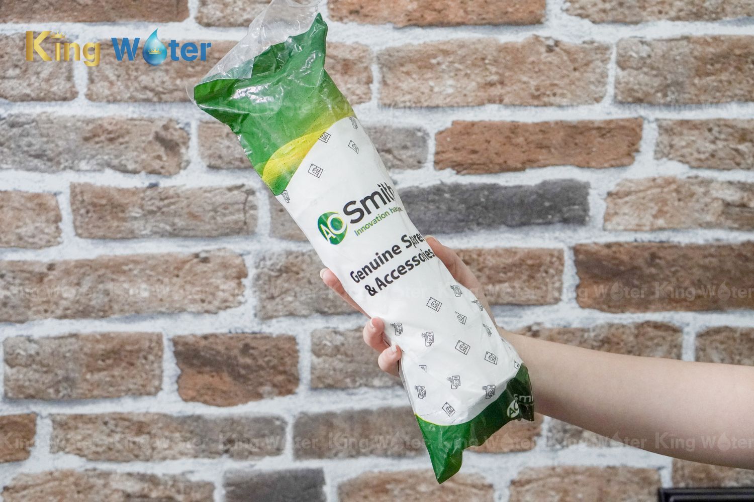 Thay lõi AO Smith GAC Min-Tech chính hãng tại KingWater