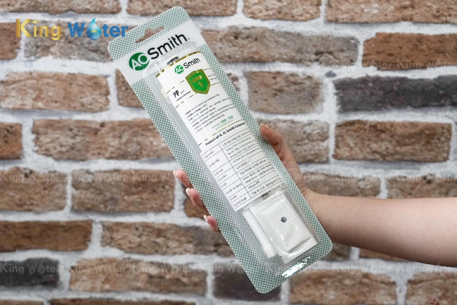 Lõi PP5 | LX-0022-V nằm ở vị trí số 1 của máy lọc nước AO Smith