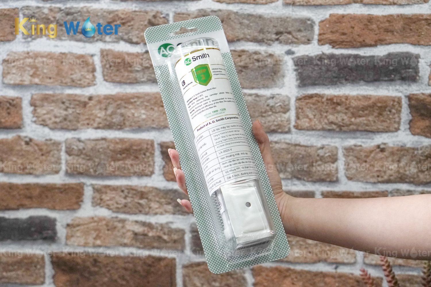 Thay lõi AOSmith Carbon Block chính hãng tại KingWater