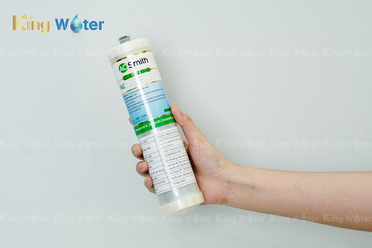 Thay lõi PAC | LX-006R02V-001 chính hãng tại KingWater