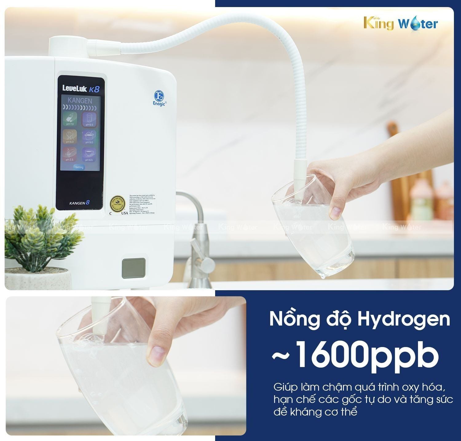 Máy lọc nước Kangen K8 chứa lượng Hydrogen cao đến 1600 ppb