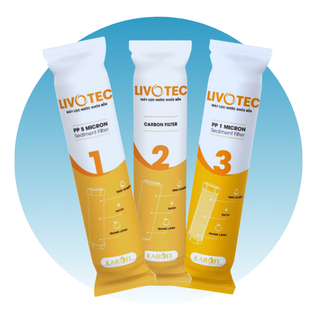 Lõi Thô Dòng Livotec ||https://cdn.hstatic.net/files/200001074498/file/may_loc_nuoc_karofi_86e747703be847f3ba853465e6e8ca74.png