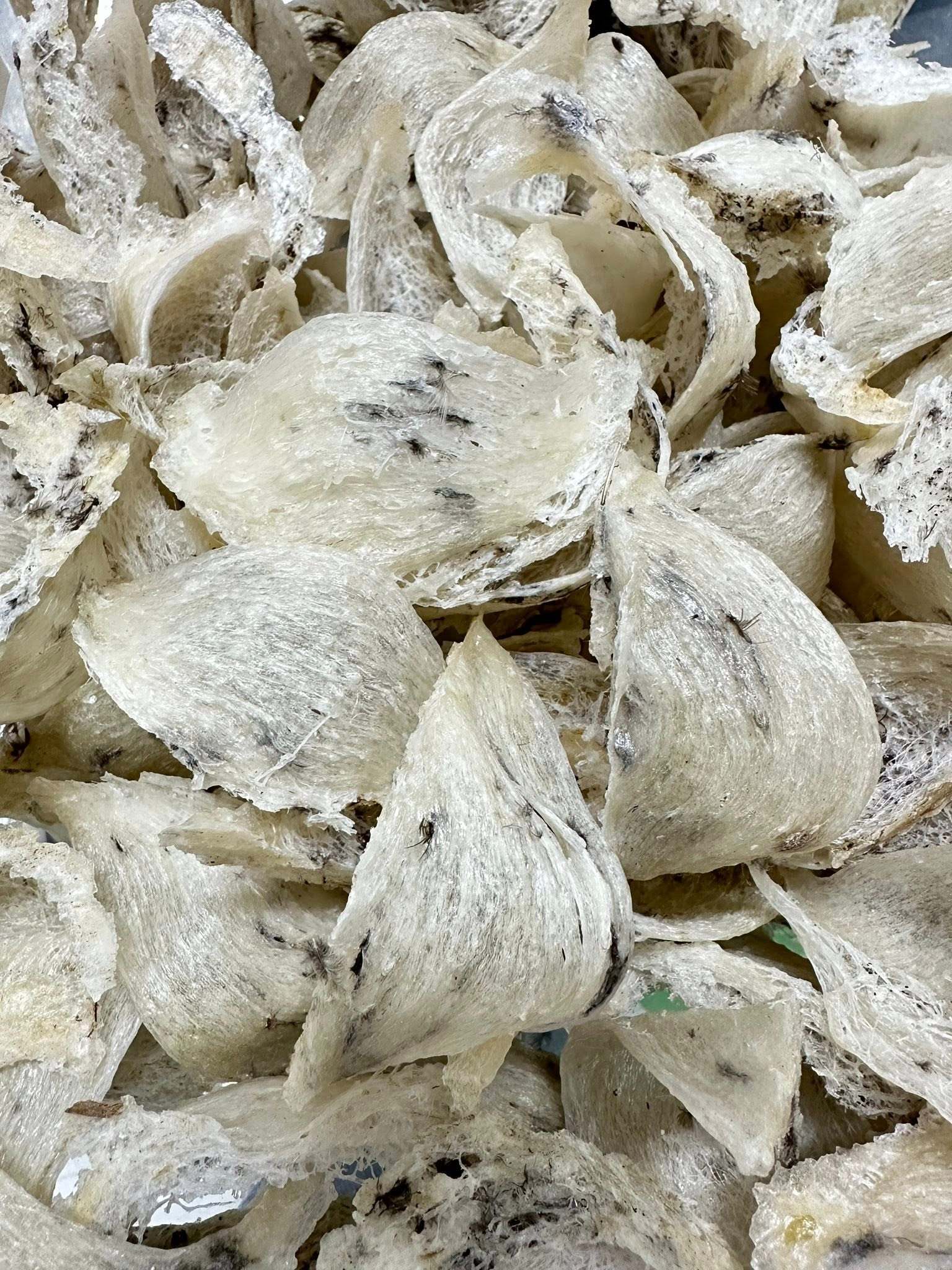 YẾN - NGON - CHUẨN - ĐÚNG CHẤT LƯỢNG