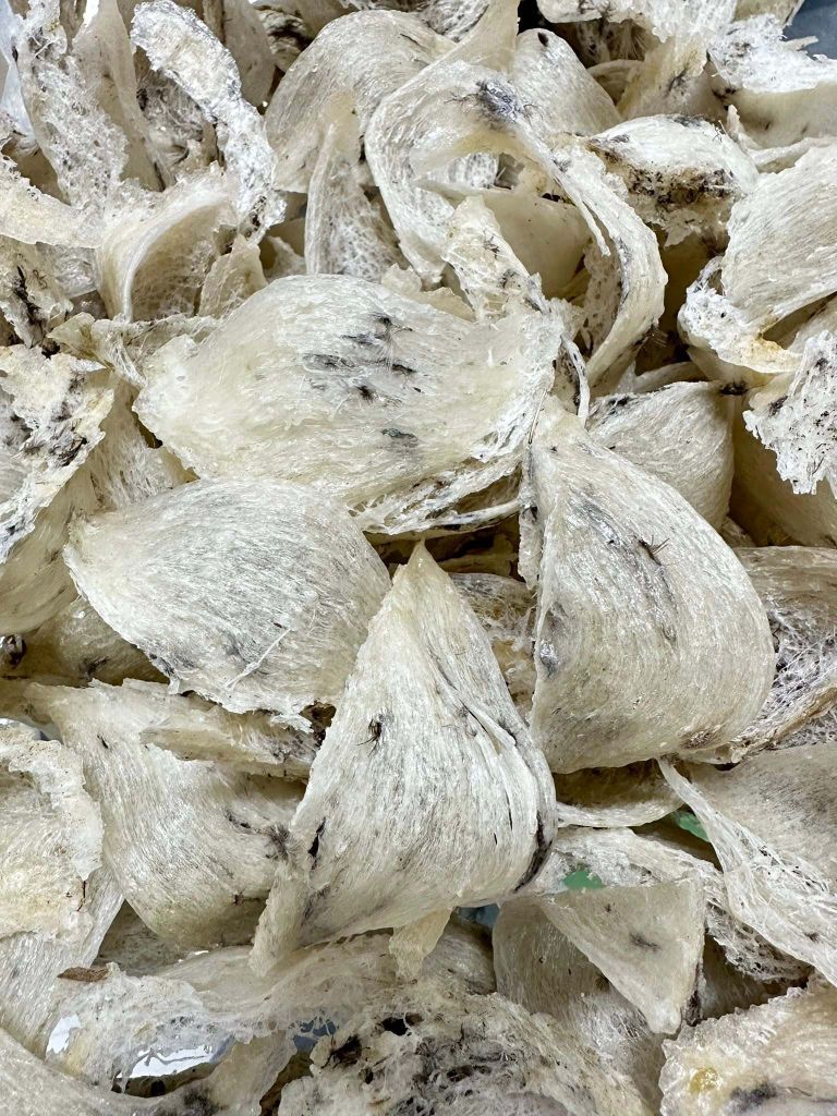 YẾN - NGON - CHUẨN - ĐÚNG CHẤT LƯỢNG