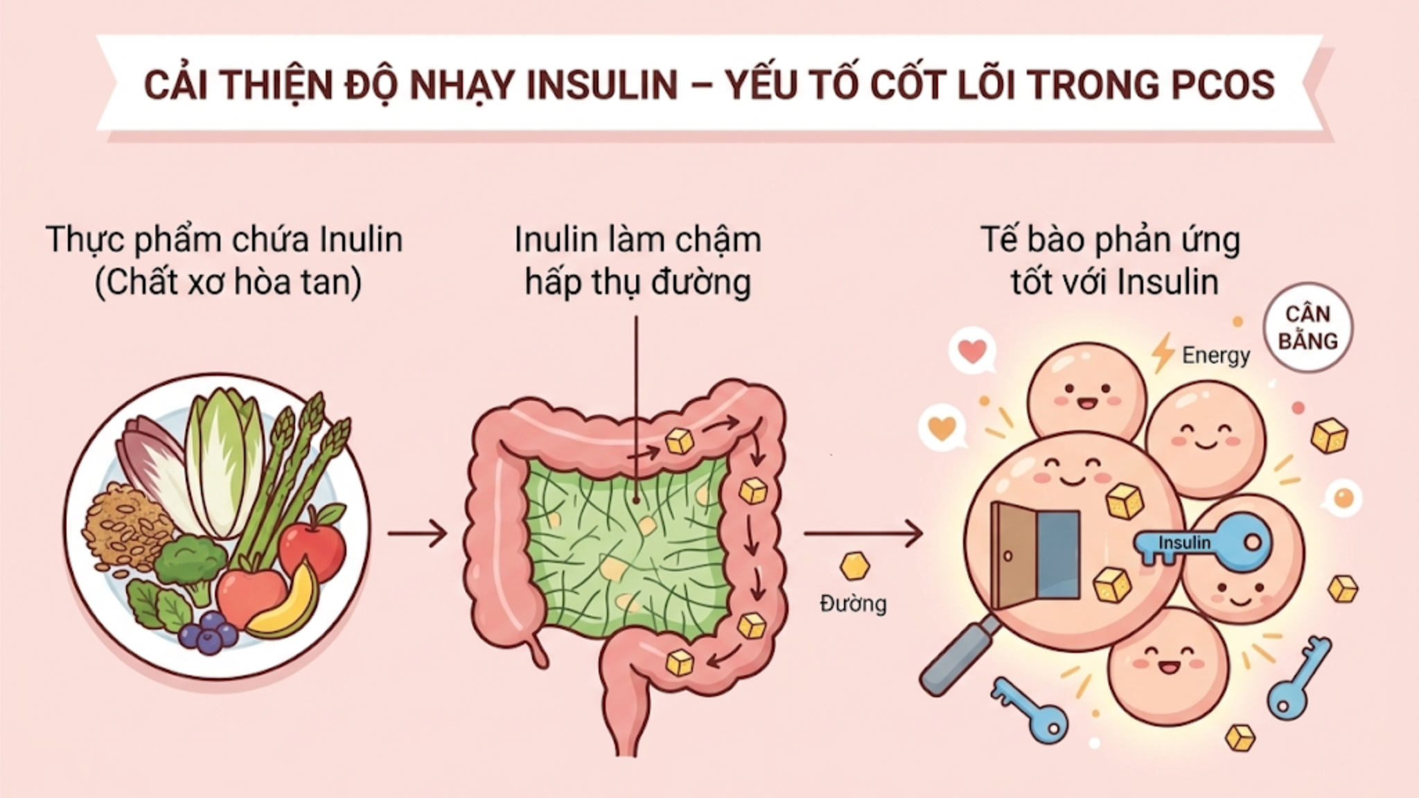 Kháng Insulin ở phụ nữ PCOS: Nguyên nhân và giải pháp hỗ trợ tự nhiên