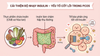 Kháng Insulin ở phụ nữ PCOS: Nguyên nhân và giải pháp hỗ trợ tự nhiên