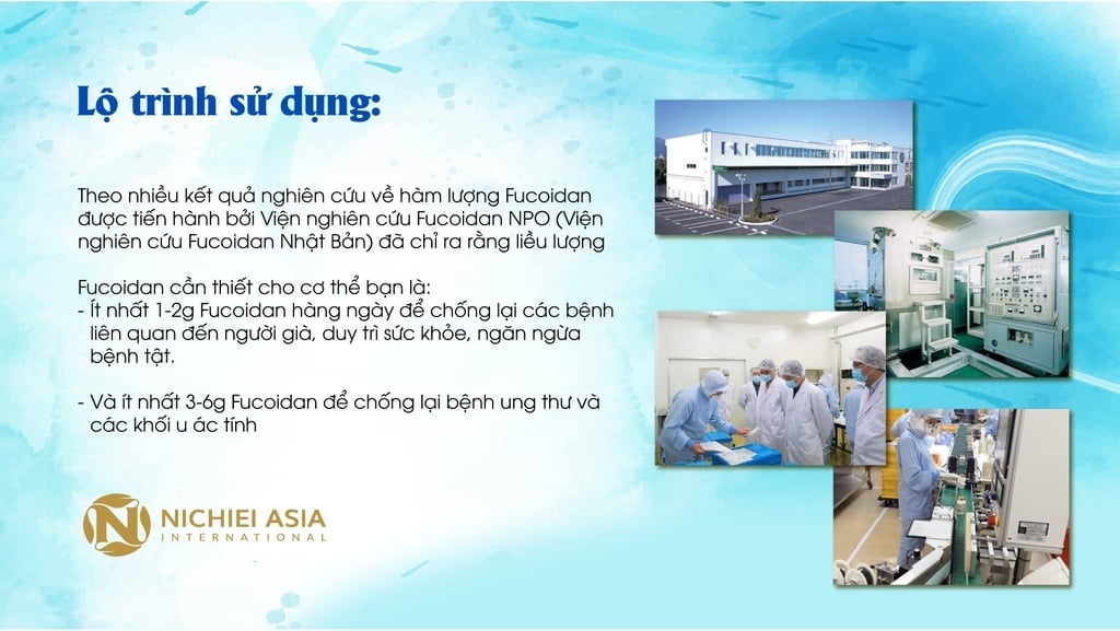 Cần lưu ý gì để sử dụng Fucoidan an toàn và hiệu quả?