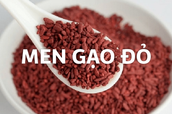 Men gạo đỏ là gì? Tác dụng và cách sử dụng?