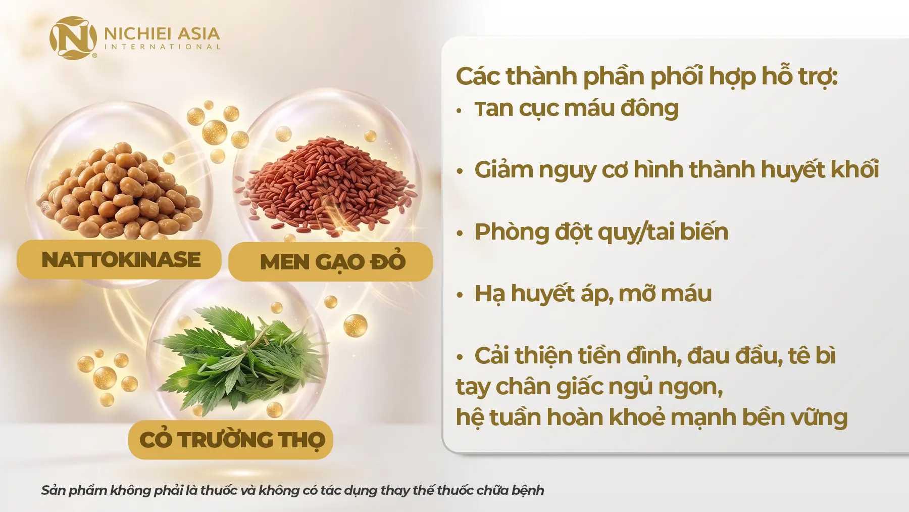 thanh-phan-nano-nattokinase-premium-60000fu-ho-tro-tan-huyet-khoi-bao-ve-suc-khoe-tuan-hoan-toan-dien-nichiei-asia