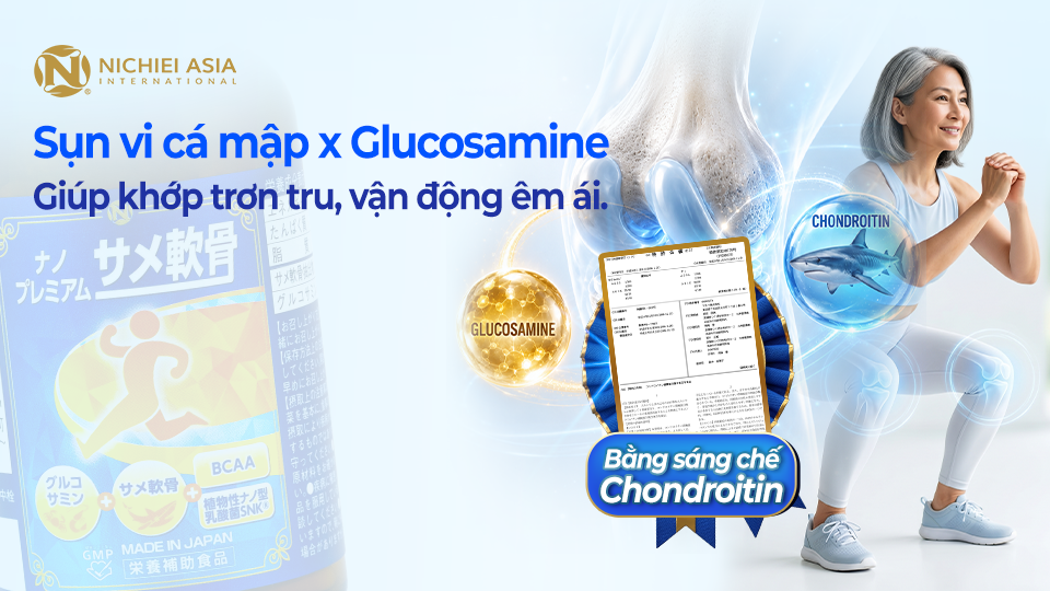 glucosamine-sun-ca-map-nano-premium-shark-cartilage-nichiei-asia-ho-tro-tai-tao-sun-khop-giam-dau-viem-khop-tron-tru