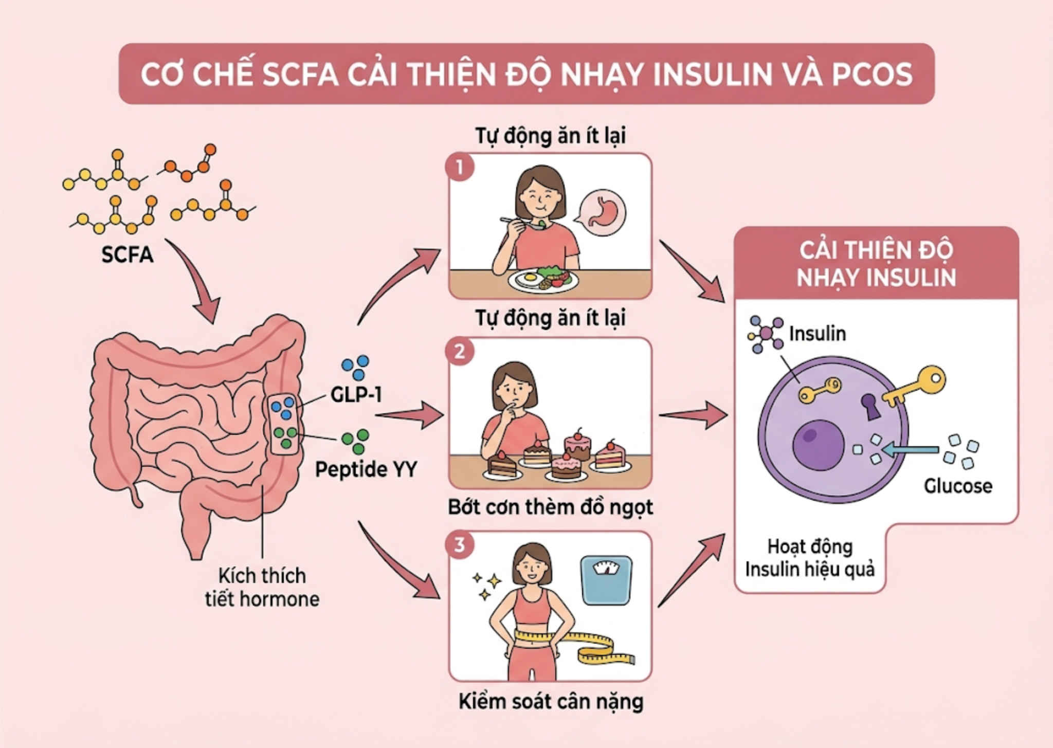 PCOS-la-gi (12)
