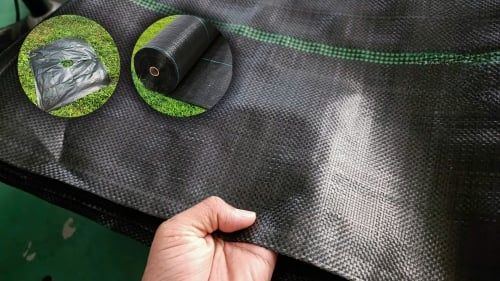 Ứng Dụng Bạt Chống Cỏ Dại Trong Nông Nghiệp Công Nghệ Cao