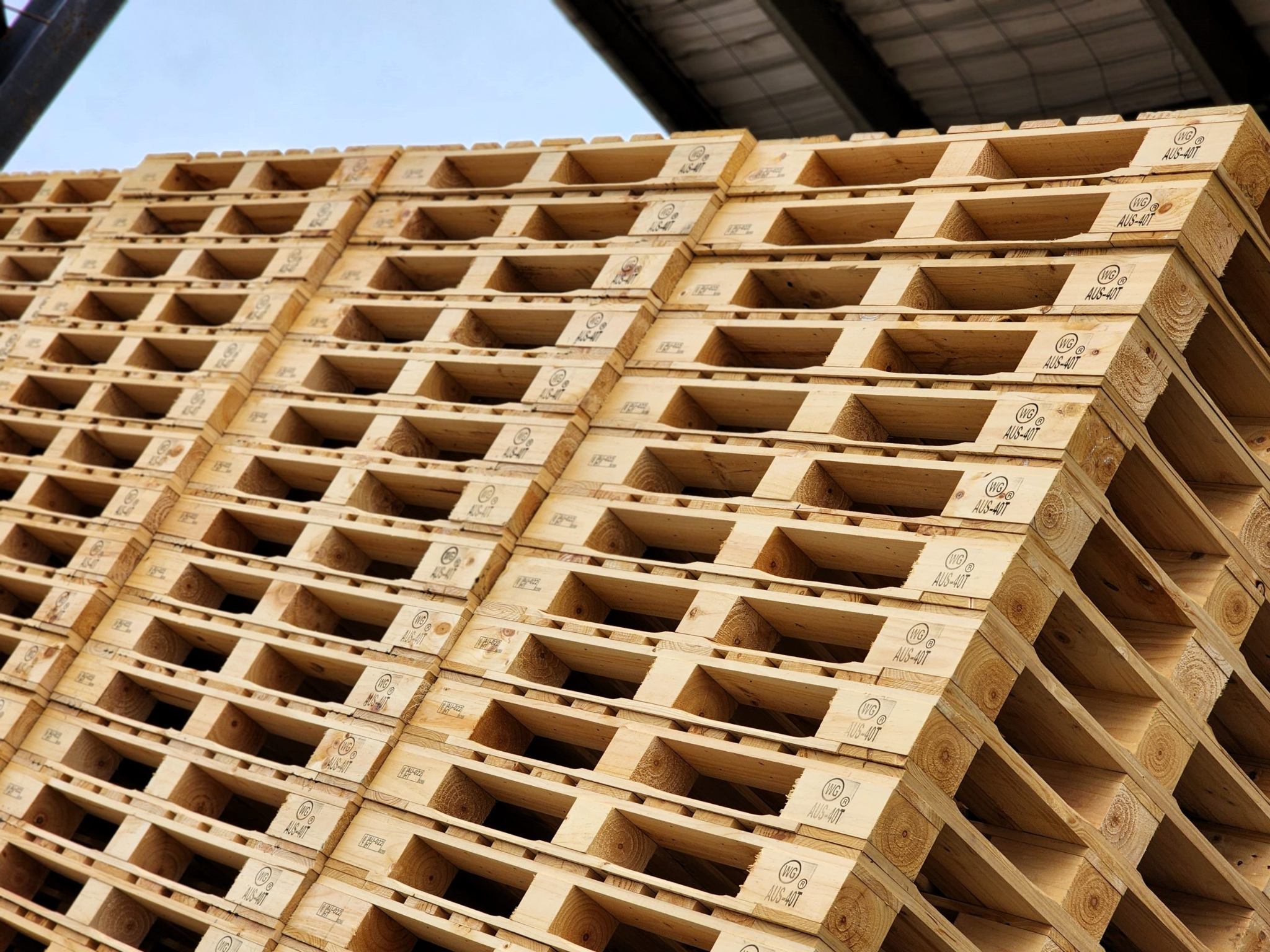 Địa Điểm Cung Cấp Pallet WG Tại Bình Dương Cho Khu Công Nghiệp