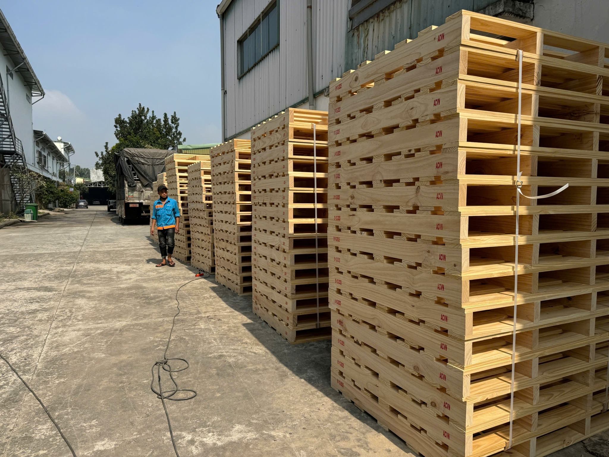 Pallet Gỗ Miền Bắc: Quy Cách Chuẩn Cho Khu Công Nghiệp & Xuất Khẩu 2026