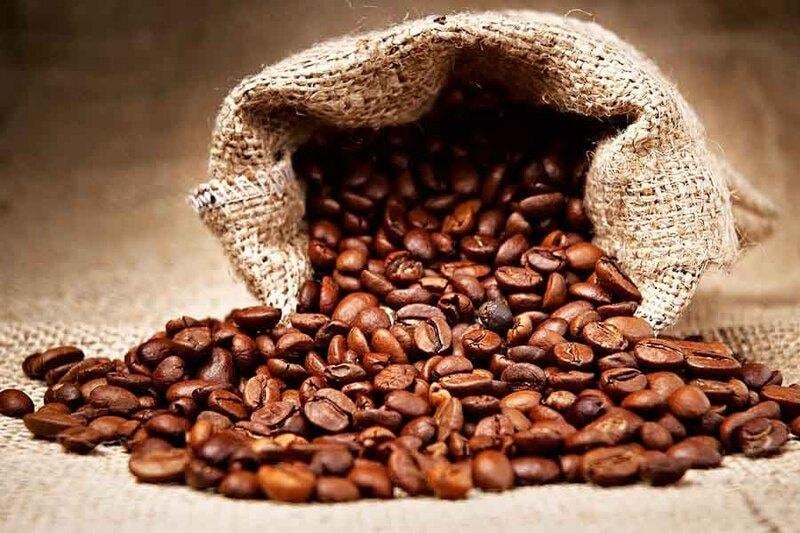 Hạt Giống Cà Phê Bảo Quản Dài Ngày Cần Kiểm Soát Những Gì?