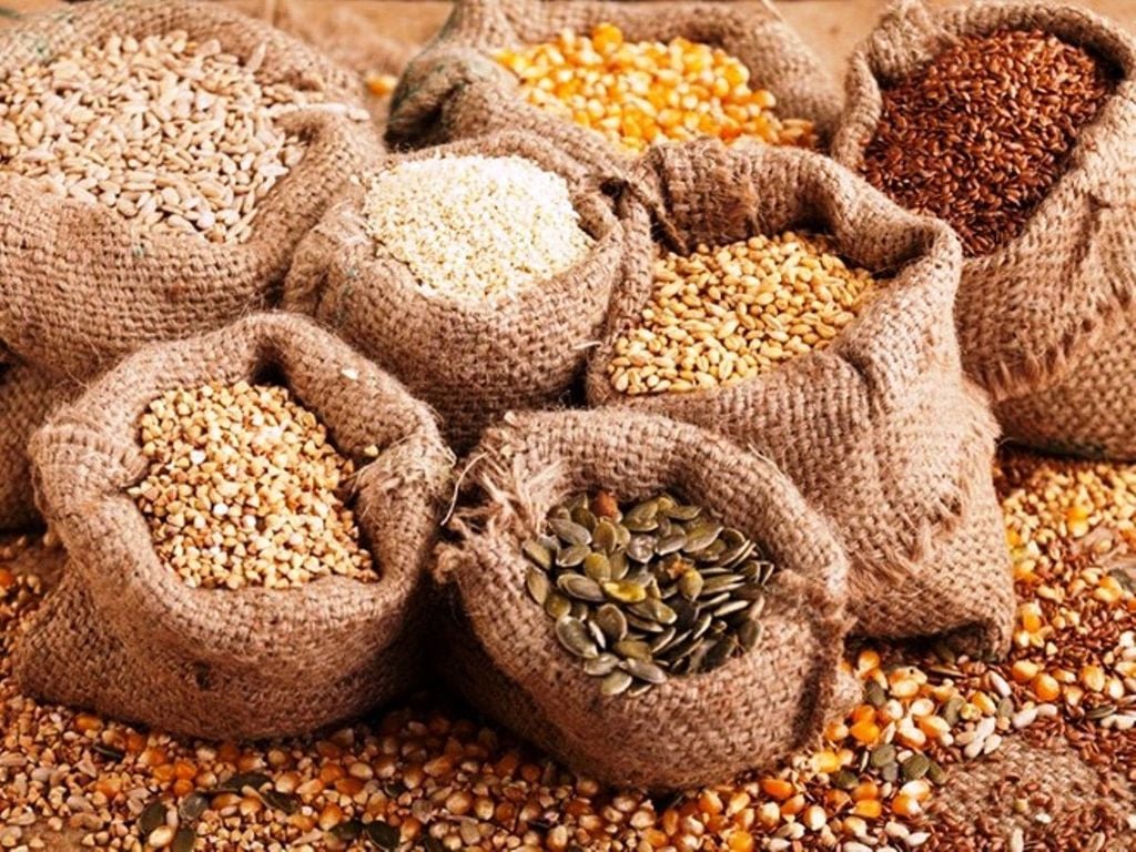 Bảo Quản Hạt Giống Ngô Trong Môi Trường Ít Oxy Có Phù Hợp?