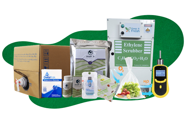 Giải Pháp Bảo Quản Nông Sản Sau Thu Hoạch Bộ Sản Phẩm Toàn Diện Từ Sancopack