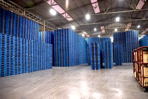 So Sánh CHEP Pallet Và Pallet Gỗ Thông Thường