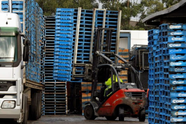 Sự Khác Biệt Giữa CHEP Pallet Và Euro Pallet