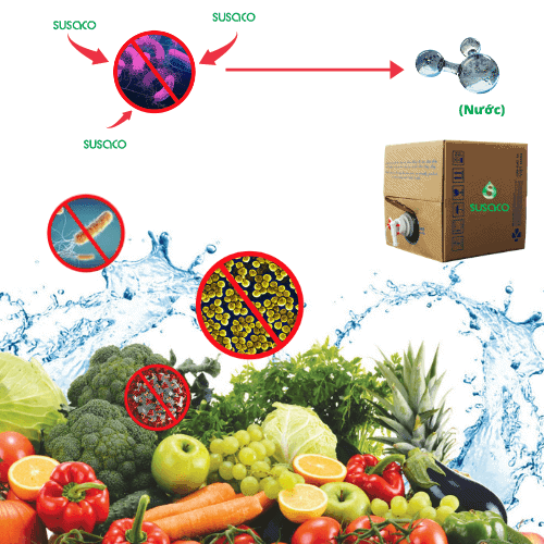 Nước Diệt Khuẩn HOCl Trong Giảm Dư Lượng Thuốc Trừ Sâu Trên Rau Quả