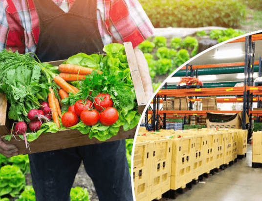 Hệ Thống Làm Lạnh Nhanh Cho Trái Cây Giải Pháp Bảo Quản Tối Ưu