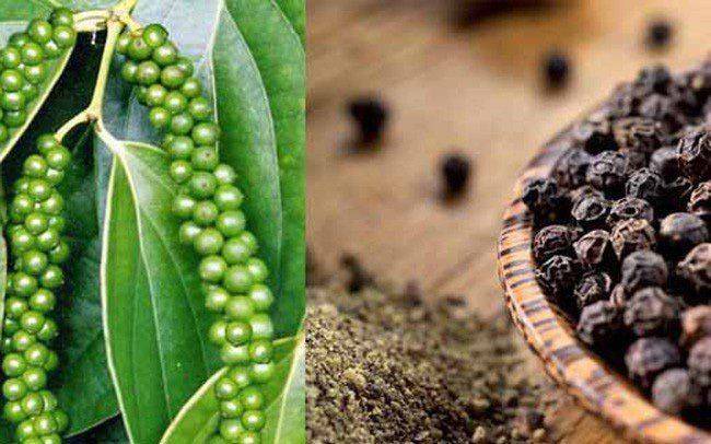 Túi Jumbo Đựng Hồ Tiêu Xuất Khẩu Giữ Mùi, Chống Ẩm Và Giảm Hao Hụt