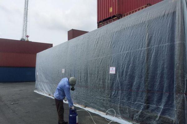 Tại Sao Doanh Nghiệp Cần Hun Trùng Trước Khi Xuất Khẩu?