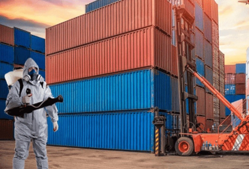 Làm Sao Để Tránh Hàng Bị Từ Chối Do Không Hun Trùng?