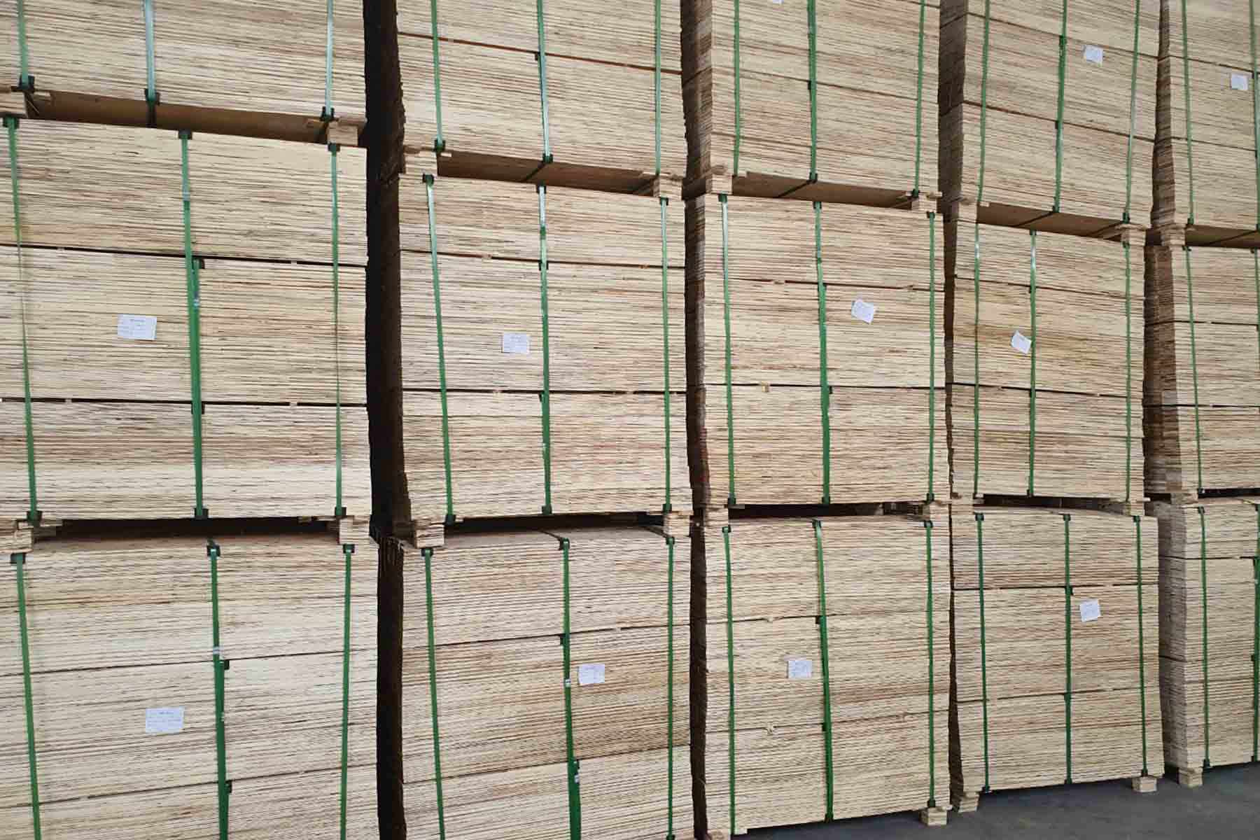 Đơn Vị Cung Cấp Pallet LVL TP.HCM Giải Pháp Đóng Gói Chuẩn Xuất Khẩu