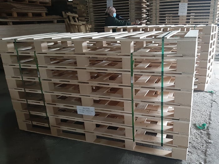 Báo Giá Pallet LVL 2026 Cập Nhật Mới Nhất Theo Kích Thước & Khu Vực