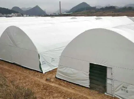 Nông Nghiệp Công Nghệ Cao Đạt Hiệu Quả Đột Phá Nhờ Nhà Chống Tia UV