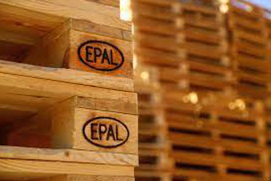 Các Sai Lầm Thường Gặp Khi Sử Dụng EPAL Pallet