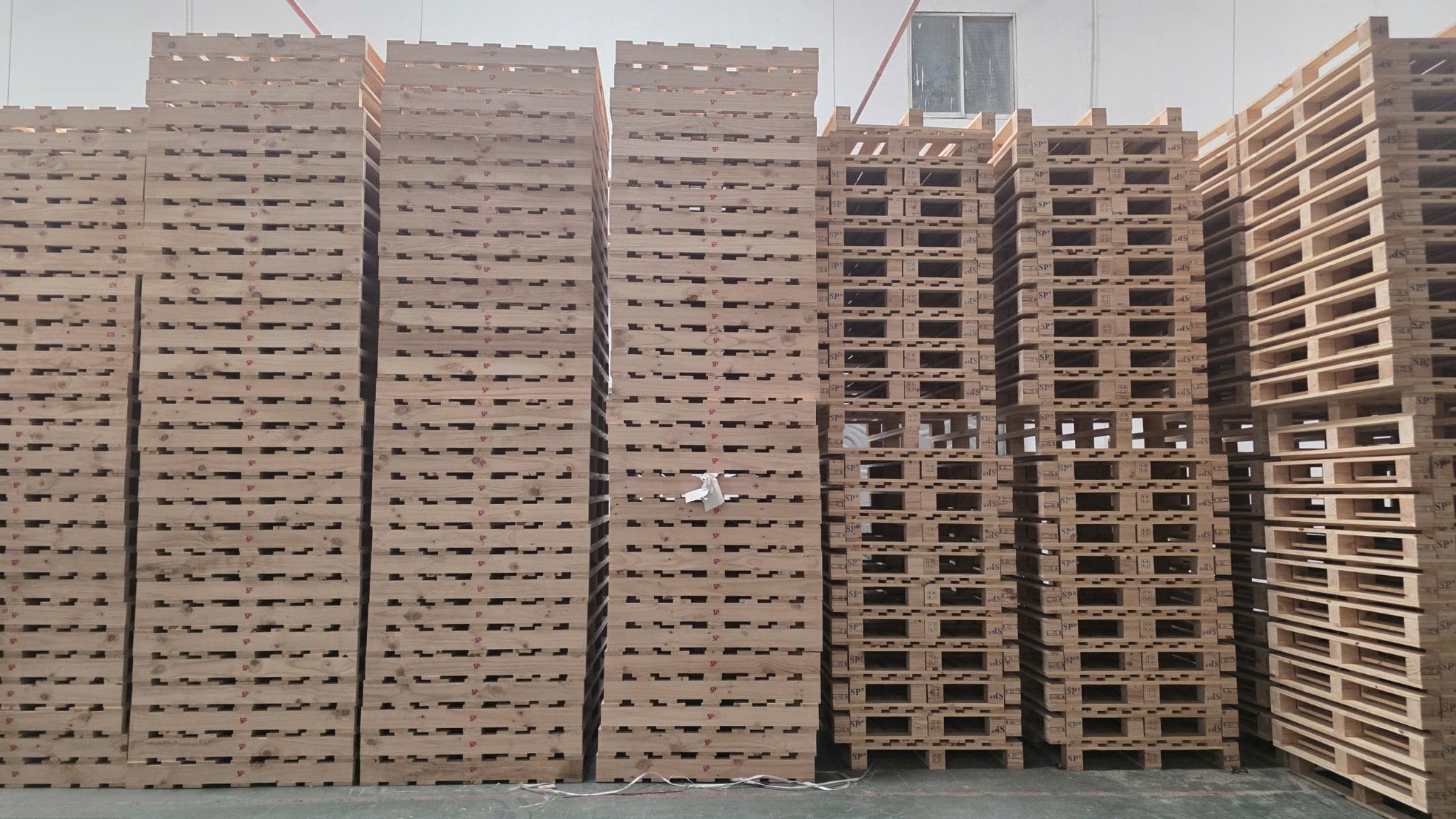 Pallet Walk Global Có Những Quy Cách Nào?