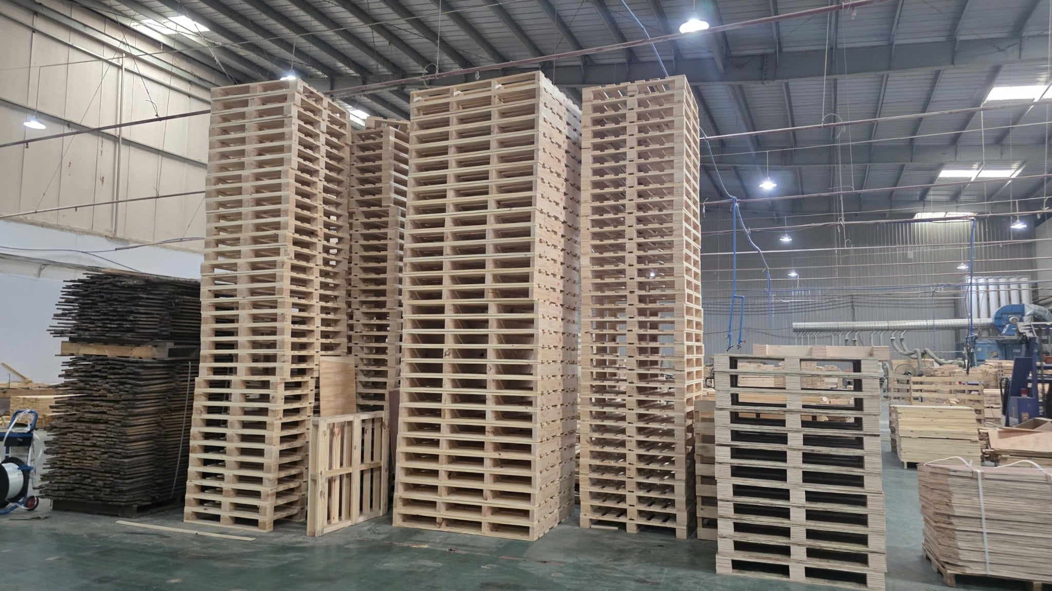 Pallet Walk Global & Những Lưu Ý Khi Chọn Kích Thước Pallet