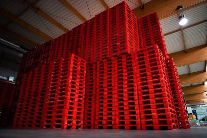Pallet PECO Có Cần Xử Lý ISPM 15 Khi Xuất Khẩu?