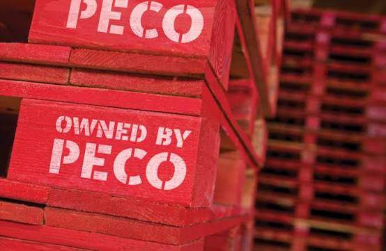 Pallet PECO Xuất Khẩu: Tiêu Chuẩn Doanh Nghiệp Cần Biết
