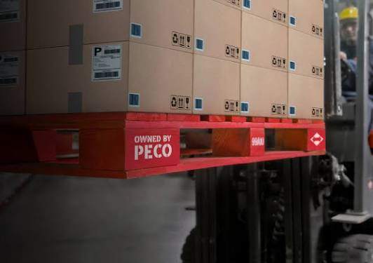 Pallet PECO Có Gì Khác So Với Pallet Gỗ Thông Thường?