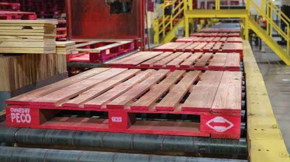 Dùng Pallet PECO Đóng Hàng Xuất Khẩu Cần Lưu Ý Gì?