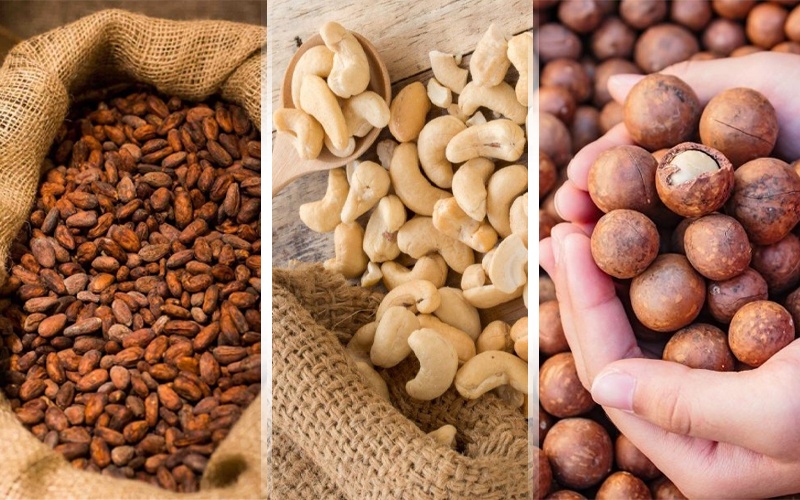 Túi Jumbo Đựng Hạt Macca Chống Nấm Mốc, Chống Ẩm Hiệu Quả