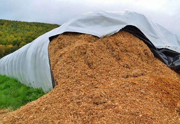 Túi Đựng Ngũ Cốc Khổ Lớn Lưu Trữ Ngũ Cốc Hiệu Quả