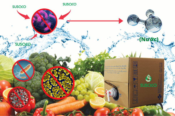 Vi Khuẩn E.Coli Trong Thực Phẩm Và Cách Kiểm Soát