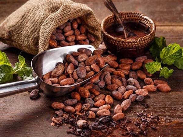 VQM Trong Kho Bảo Quản Cacao Thô Ngăn Nấm Mốc, Giữ Chất Lượng