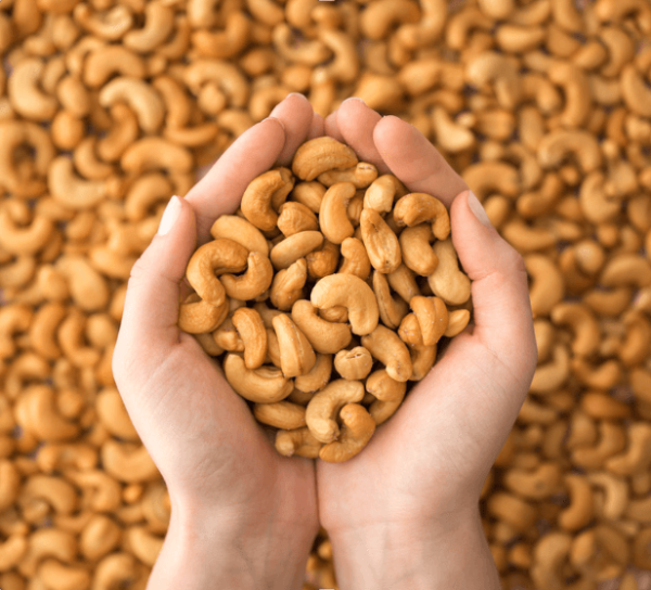 Giải Pháp VQM Trong Bảo Quản Hạt Điều Xuất Khẩu: Giữ Hương Vị, Chống Mốc Mọt