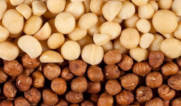 Giải Pháp VQM Cho Hạt Macca Ngăn Sâu Mọt, Duy Trì Độ Giòn